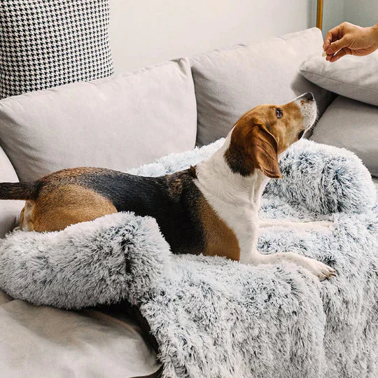 Anxiety Relief Dog Bed for Sofa