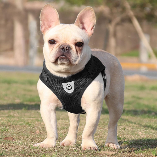 Adjustable Mesh Dog Harness