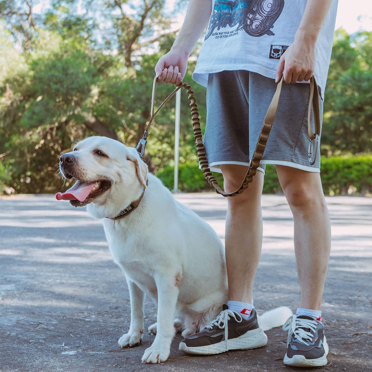 Military Bungee Leash Set