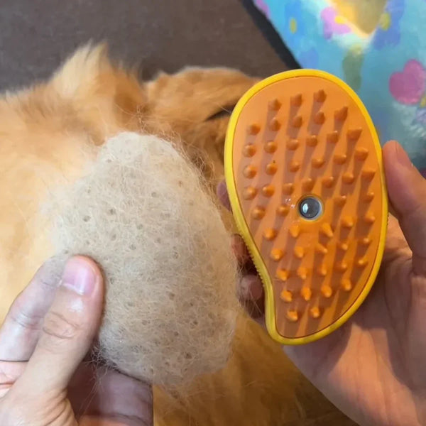 3-In-1 Pet Steaming Brush