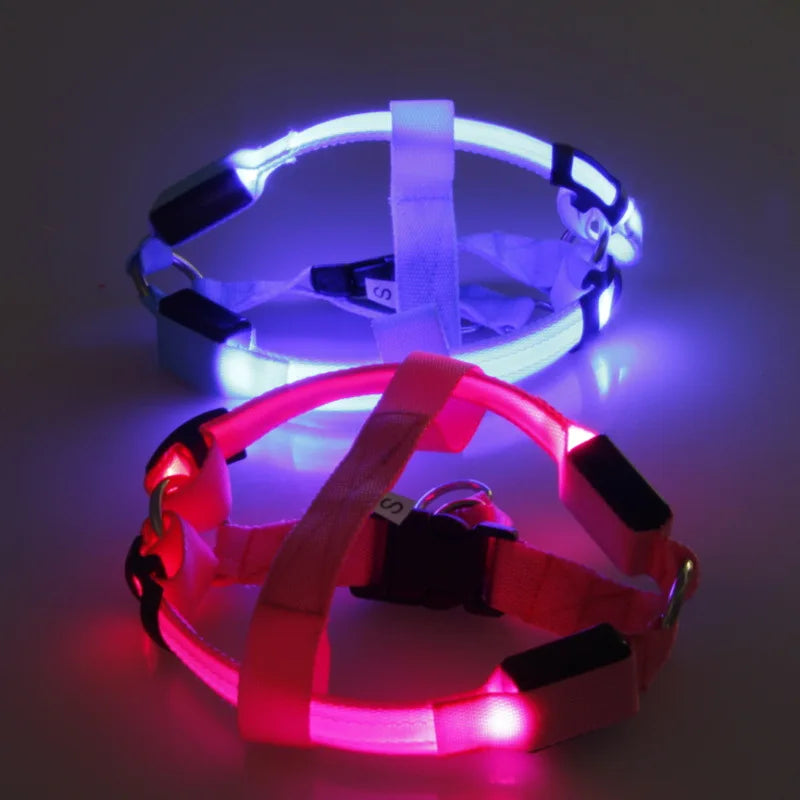 LED Neon Safety Harness