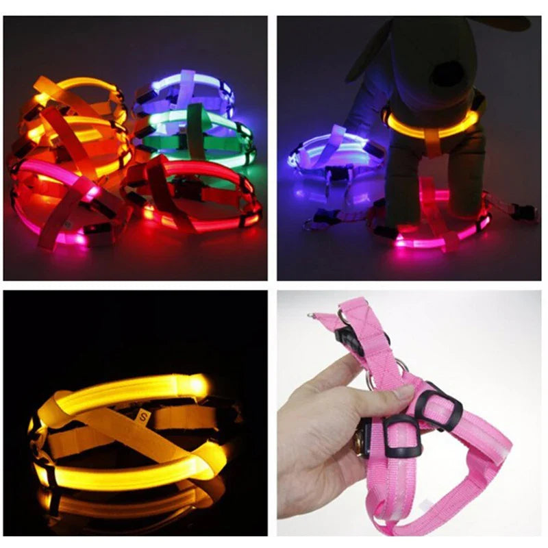 LED Neon Safety Harness