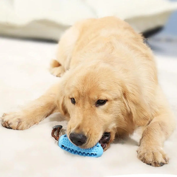 Chew Cleaning Toy