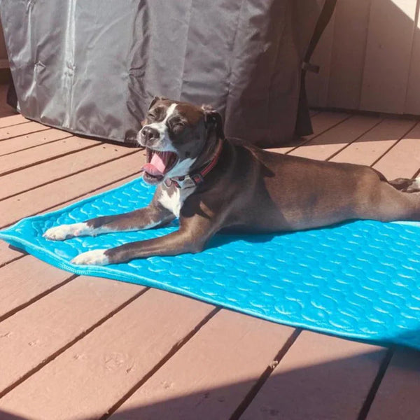 Dog Summer Pad