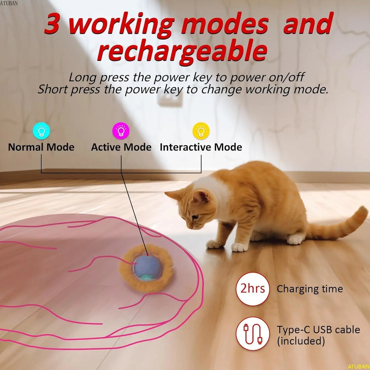 Electric Hide & Seek Cat Toy