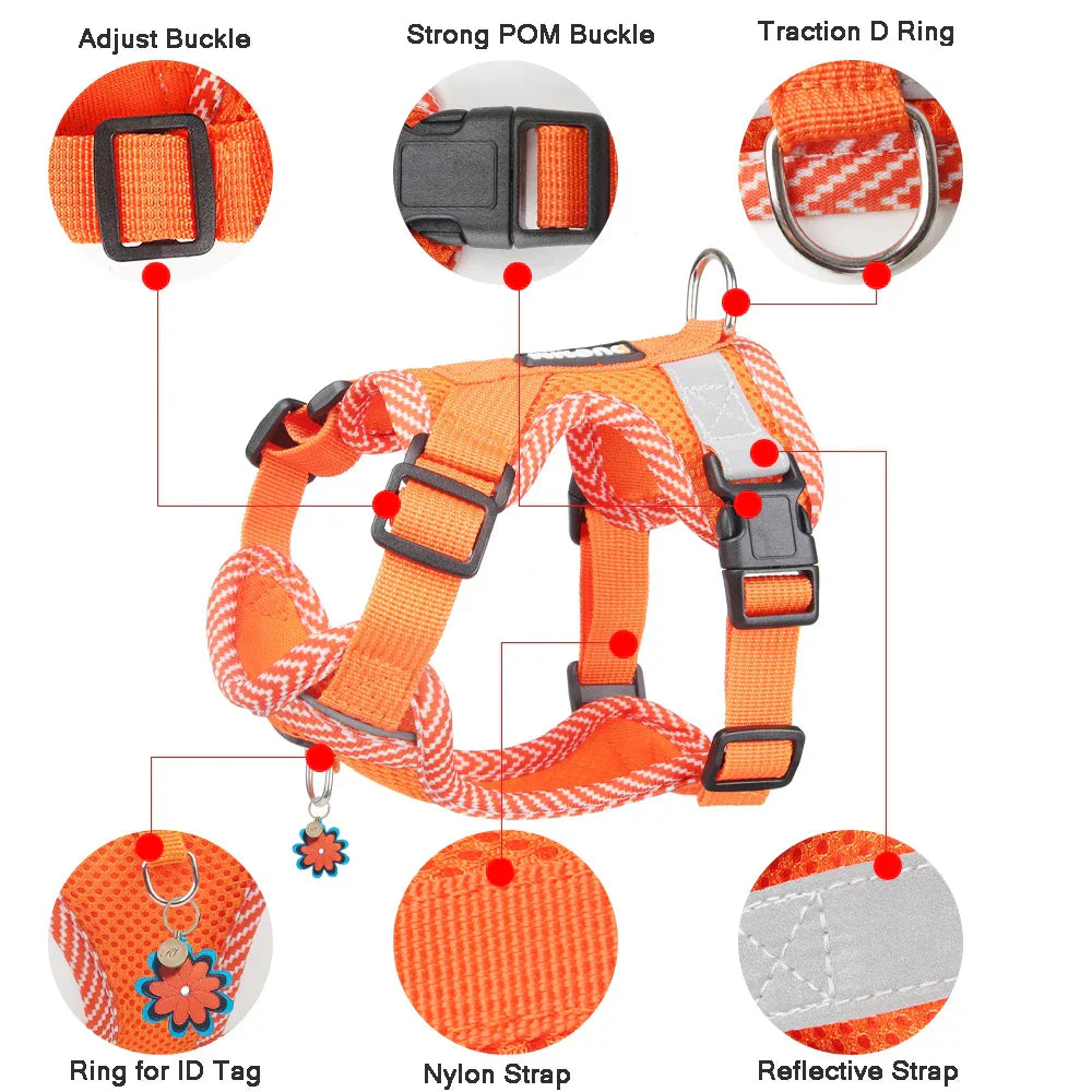 4-Point Adjustment Harness & Leash Set