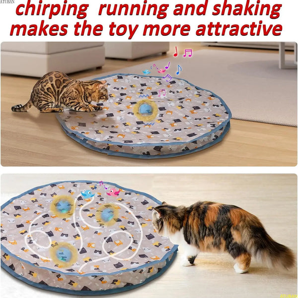 Electric Hide & Seek Cat Toy