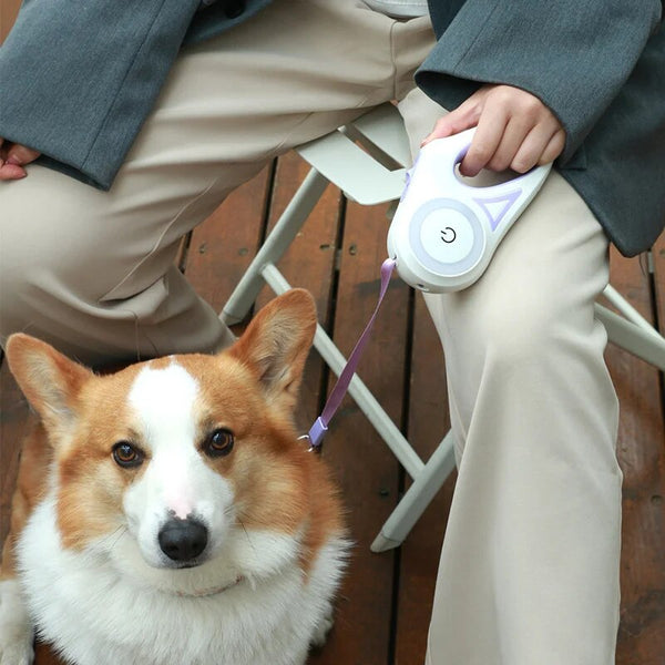 LED Retractable Dog Leash