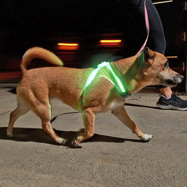 LED Neon Safety Harness